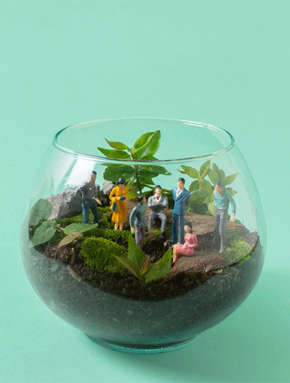 Conserve Natural Resources